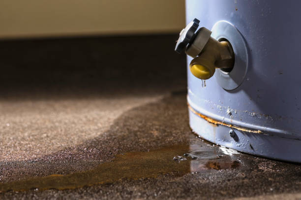 Best Water damage cleanup near me  in Douglas, AL