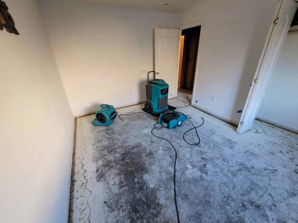 Best 24-hour water damage restoration  in Douglas, AL