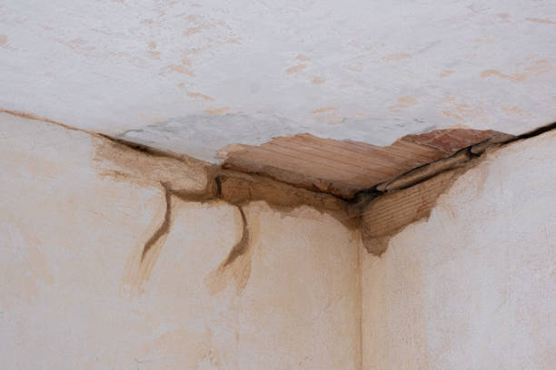  Douglas, AL Water damage restoration Pros