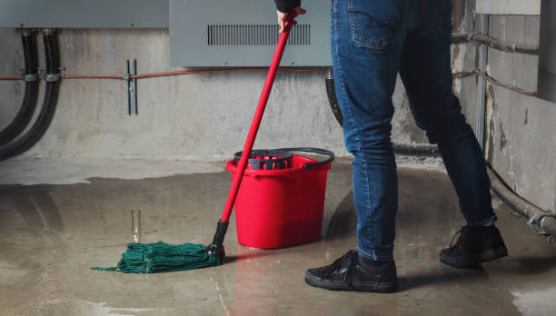 Best Residential water damage restoration  in Douglas, AL