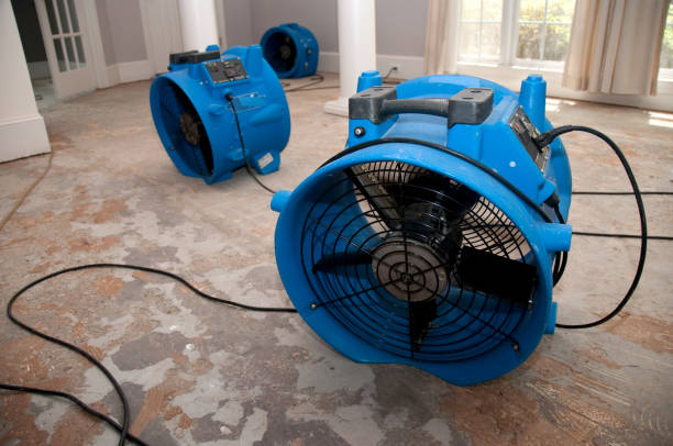 Reliable AL Water damage restoration Solutions