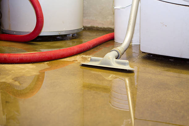 Best Water damage restoration near me  in Douglas, AL