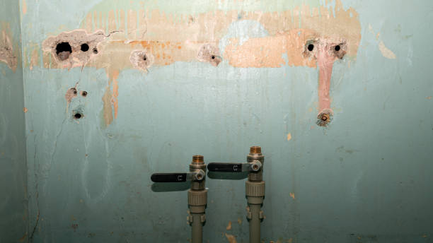 Best Carpet water damage restoration  in Douglas, AL
