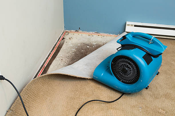 Best Ceiling water damage repair  in Douglas, AL