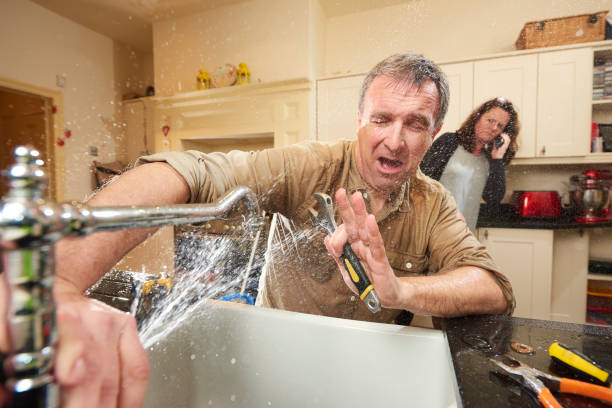 Best Water damage restoration near me  in Douglas, AL